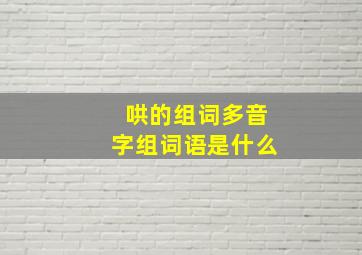 哄的组词多音字组词语是什么