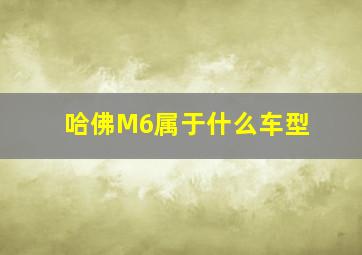 哈佛M6属于什么车型