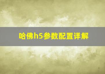 哈佛h5参数配置详解