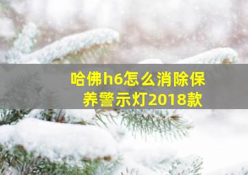 哈佛h6怎么消除保养警示灯2018款