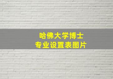 哈佛大学博士专业设置表图片