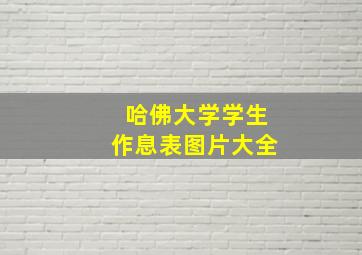 哈佛大学学生作息表图片大全