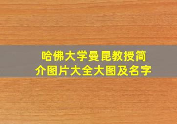 哈佛大学曼昆教授简介图片大全大图及名字