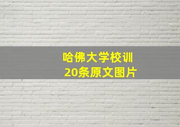 哈佛大学校训20条原文图片