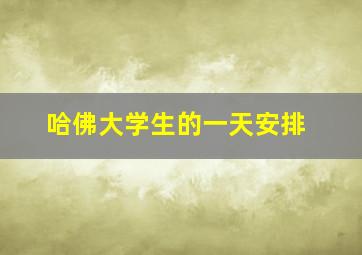 哈佛大学生的一天安排