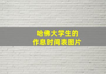 哈佛大学生的作息时间表图片