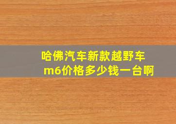 哈佛汽车新款越野车m6价格多少钱一台啊