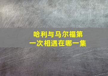 哈利与马尔福第一次相遇在哪一集