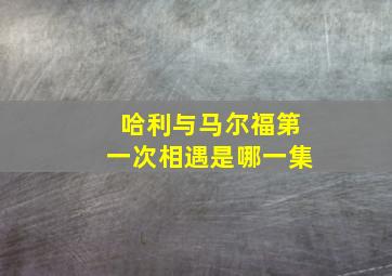 哈利与马尔福第一次相遇是哪一集