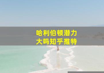 哈利伯顿潜力大吗知乎推特