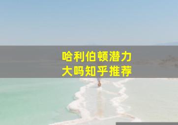 哈利伯顿潜力大吗知乎推荐