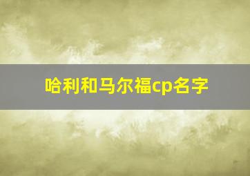 哈利和马尔福cp名字