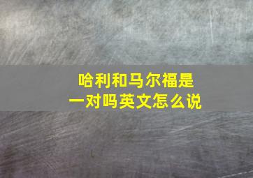 哈利和马尔福是一对吗英文怎么说