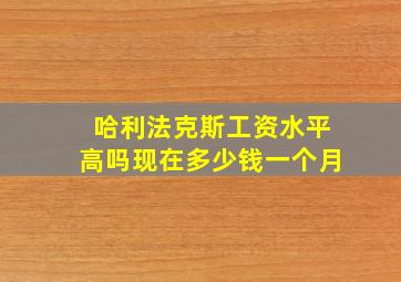 哈利法克斯工资水平高吗现在多少钱一个月