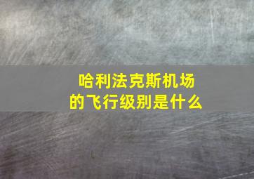 哈利法克斯机场的飞行级别是什么