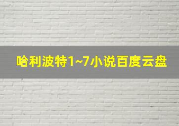 哈利波特1~7小说百度云盘