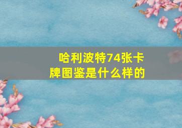 哈利波特74张卡牌图鉴是什么样的