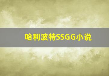 哈利波特SSGG小说