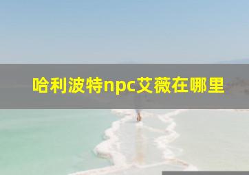 哈利波特npc艾薇在哪里