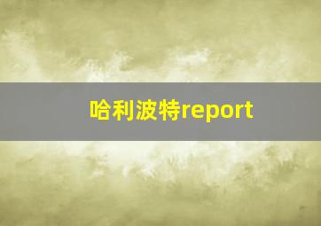 哈利波特report