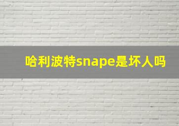 哈利波特snape是坏人吗