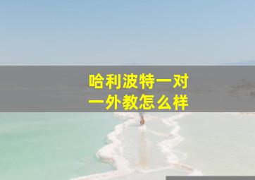 哈利波特一对一外教怎么样