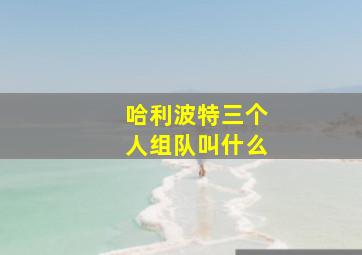 哈利波特三个人组队叫什么