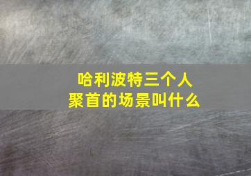 哈利波特三个人聚首的场景叫什么