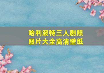 哈利波特三人剧照图片大全高清壁纸