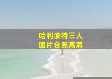 哈利波特三人图片合照高清