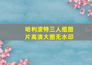 哈利波特三人组图片高清大图无水印