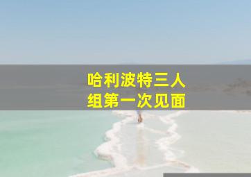 哈利波特三人组第一次见面