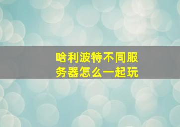 哈利波特不同服务器怎么一起玩