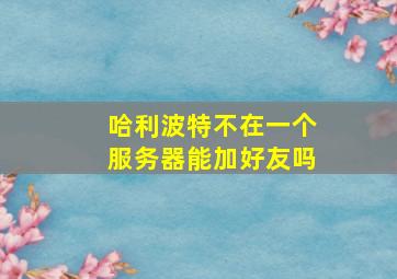 哈利波特不在一个服务器能加好友吗