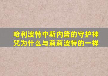 哈利波特中斯内普的守护神咒为什么与莉莉波特的一样