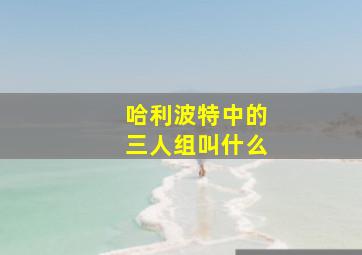 哈利波特中的三人组叫什么