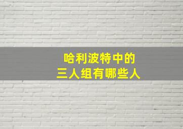 哈利波特中的三人组有哪些人