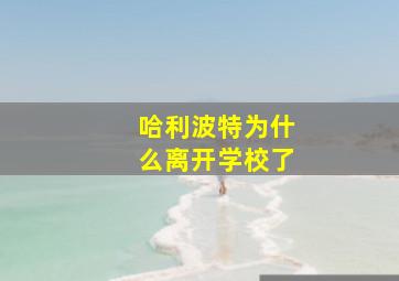 哈利波特为什么离开学校了