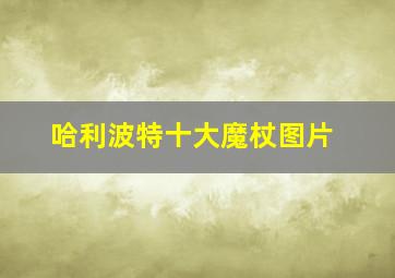 哈利波特十大魔杖图片