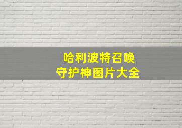 哈利波特召唤守护神图片大全