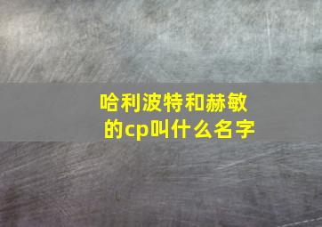 哈利波特和赫敏的cp叫什么名字