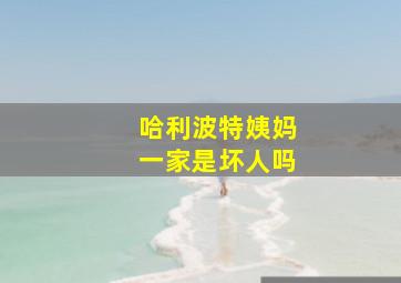 哈利波特姨妈一家是坏人吗