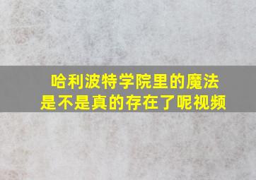 哈利波特学院里的魔法是不是真的存在了呢视频