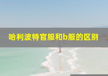 哈利波特官服和b服的区别