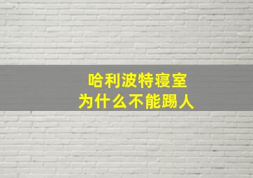 哈利波特寝室为什么不能踢人