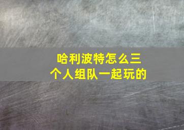 哈利波特怎么三个人组队一起玩的