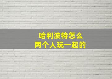 哈利波特怎么两个人玩一起的