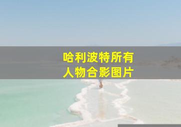 哈利波特所有人物合影图片