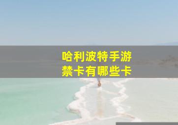 哈利波特手游禁卡有哪些卡