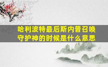 哈利波特最后斯内普召唤守护神的时候是什么意思